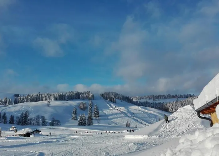 아파트 Tinyhouse Postalm 압티나우